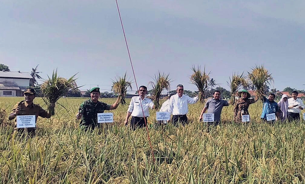 Kementan Kembangkan Kawasan Mandiri Benih Jarwo Super di 10 Provinsi